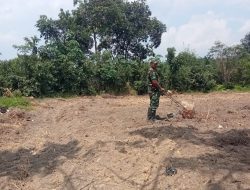Satgas TMMD Ke-129 Kodim 0416/Bute Bersama Warga Mulai Tanam Jagung, Perkuat Ketahanan Pangan Desa