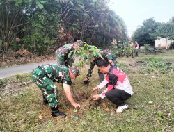Satgas TMMD Ke-129 Tanam 100 Bibit Pohon Buah, Hijaukan Lingkungan Desa Tanjung Agung